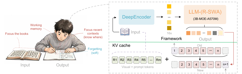 Схема Unlimited-OCR: DeepEncoder сжимает страницы в 16x и кормит компактную MoE-модель с KV-кэшем